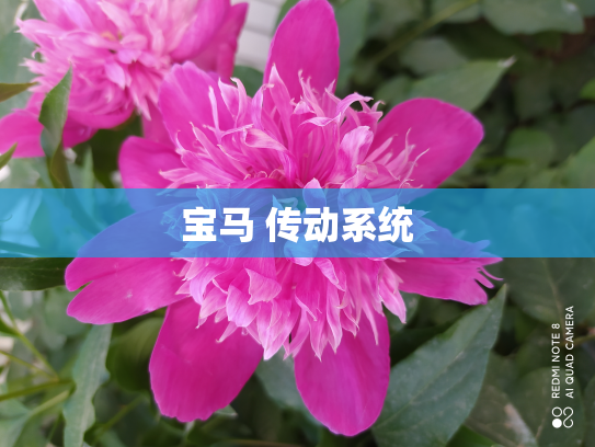 宝马 传动系统