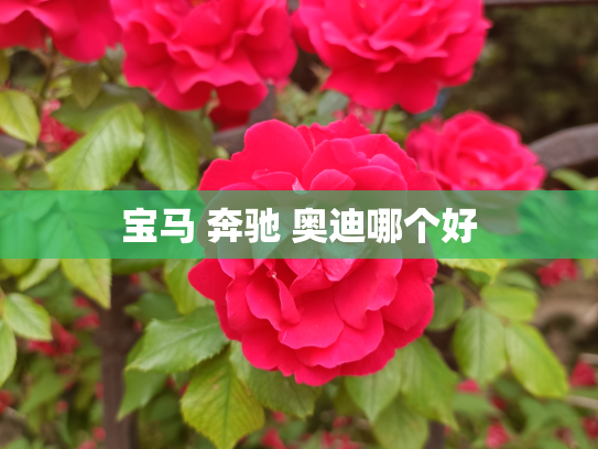 宝马 奔驰 奥迪哪个好