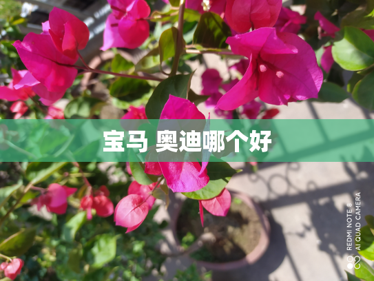 宝马 奥迪哪个好