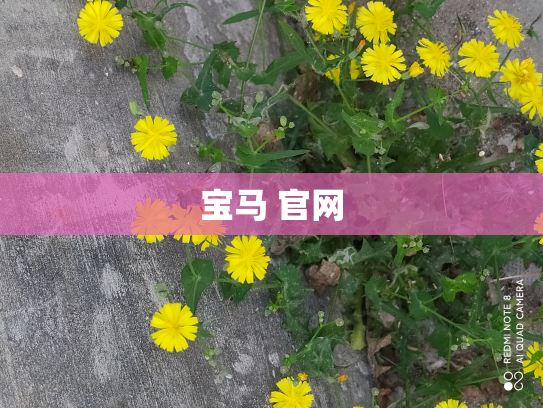宝马 官网