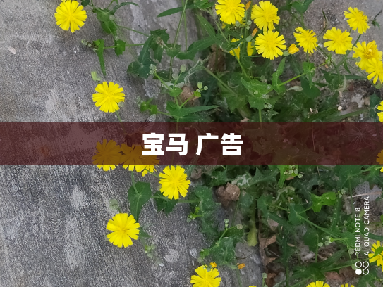 宝马 广告