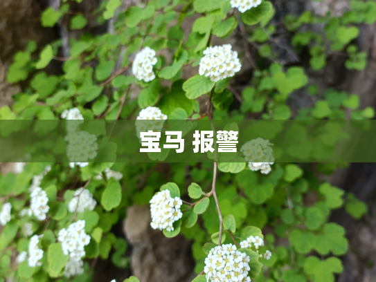 宝马 报警