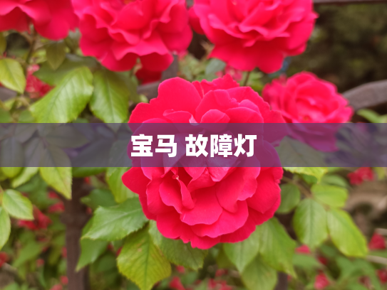 宝马 故障灯
