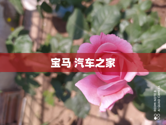 宝马 汽车之家