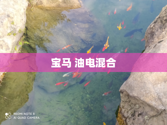 宝马 油电混合