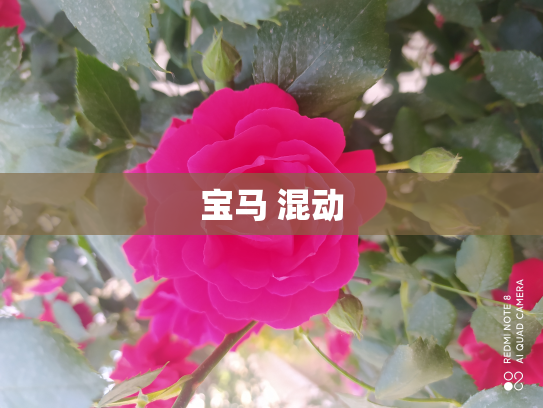 宝马 混动