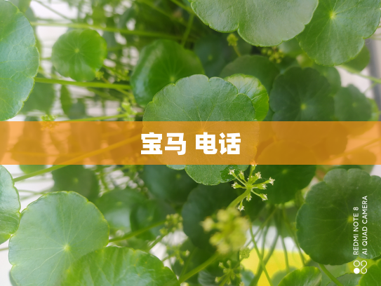 宝马 电话