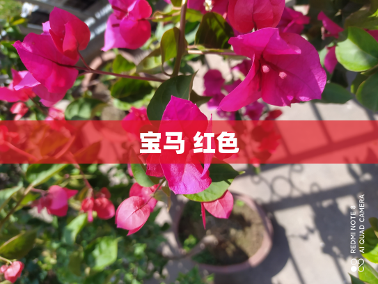 宝马 红色