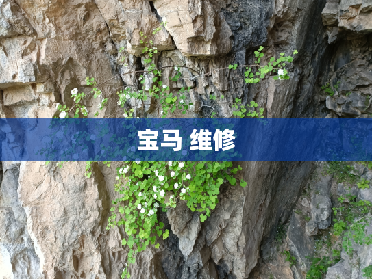 宝马 维修