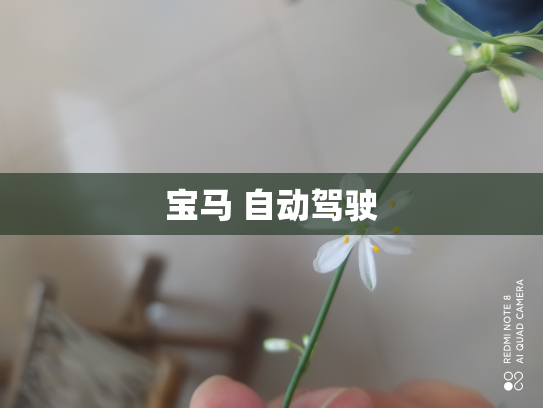 宝马 自动驾驶