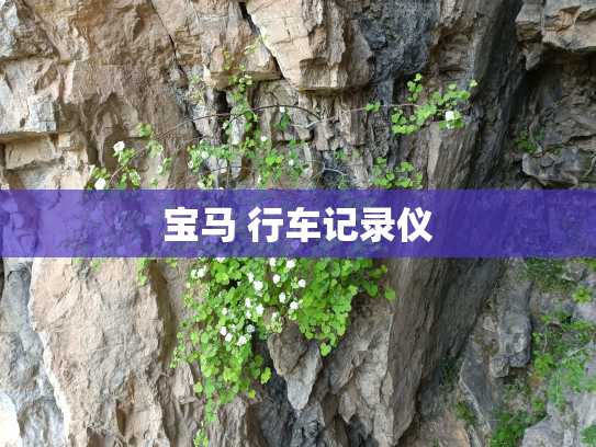 宝马 行车记录仪