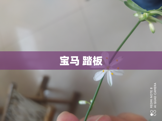 宝马 踏板