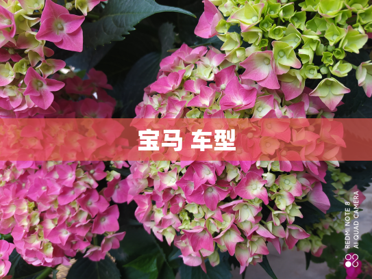 宝马 车型