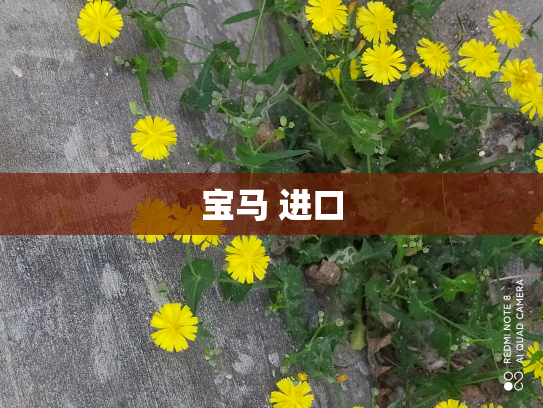 宝马 进口