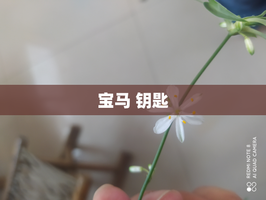 宝马 钥匙