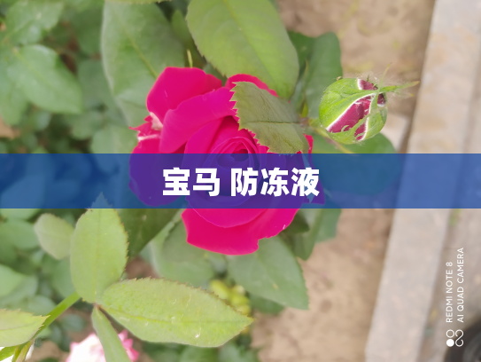 宝马 防冻液