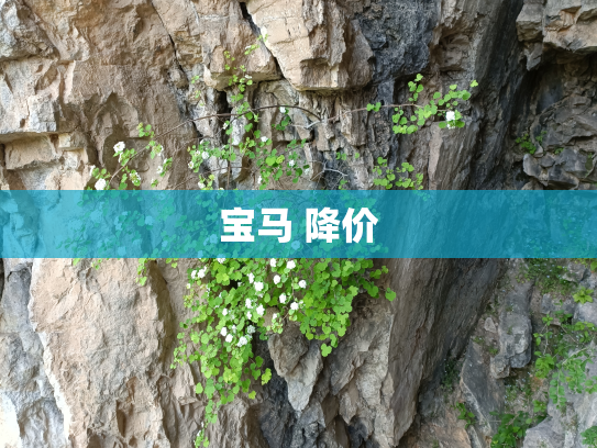 宝马 降价