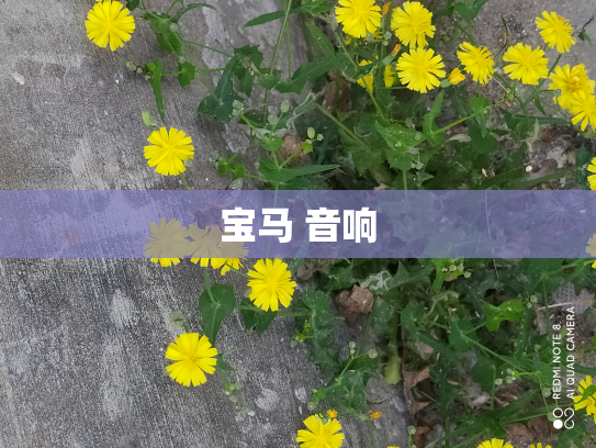 宝马 音响
