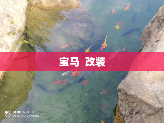 宝马  改装
