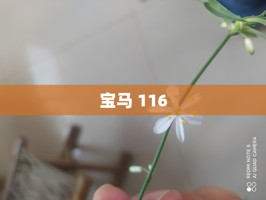 宝马 116