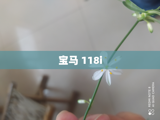 宝马 118i