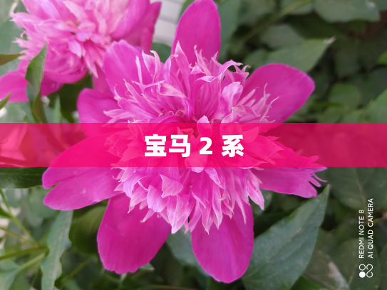 宝马 2 系