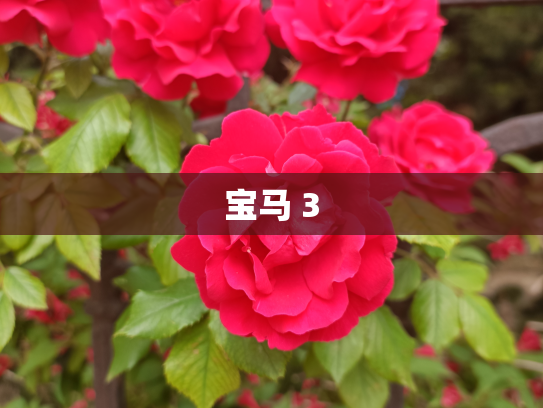 宝马 3