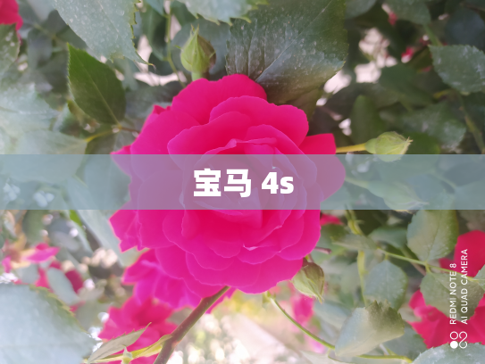 宝马 4s