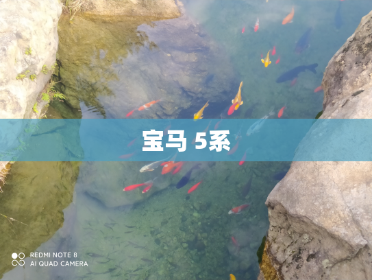 宝马 5系