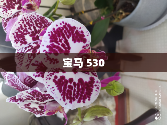 宝马 530