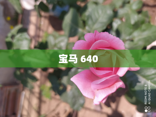 宝马 640
