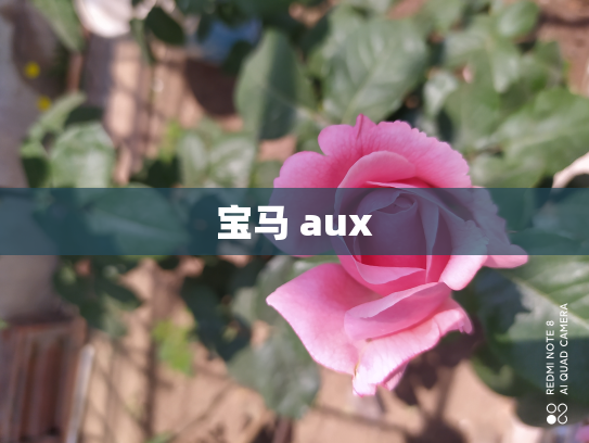 宝马 aux