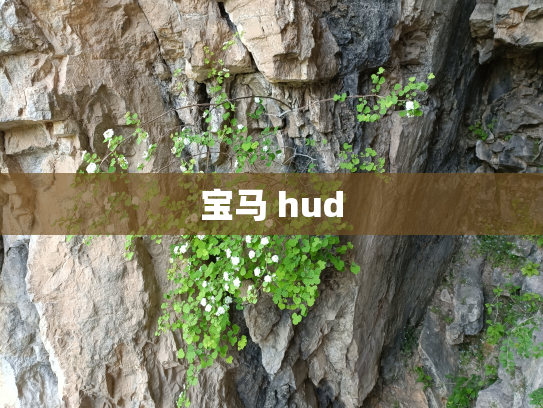 宝马 hud