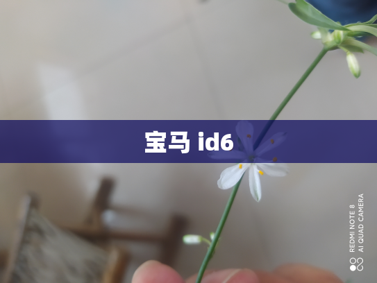 宝马 id6