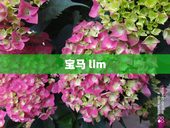 宝马 lim