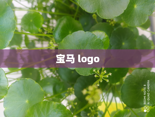 宝马 logo