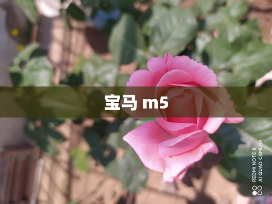 宝马 m5
