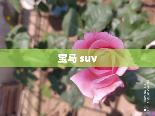 宝马 suv