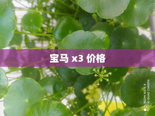 宝马 x3 价格
