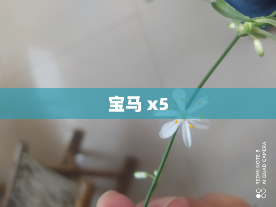 宝马 x5