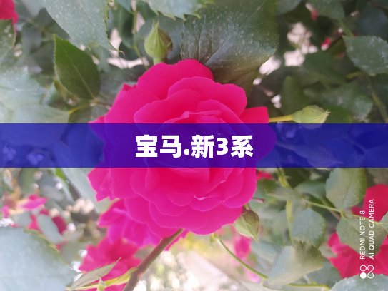 宝马.新3系