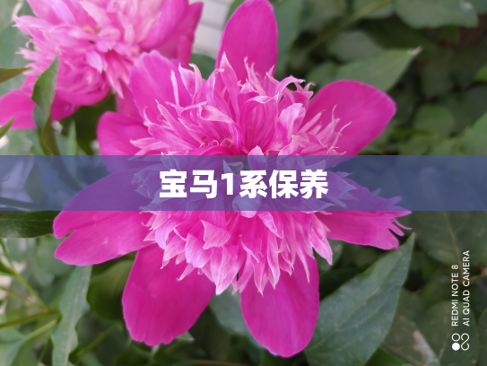 宝马1系保养
