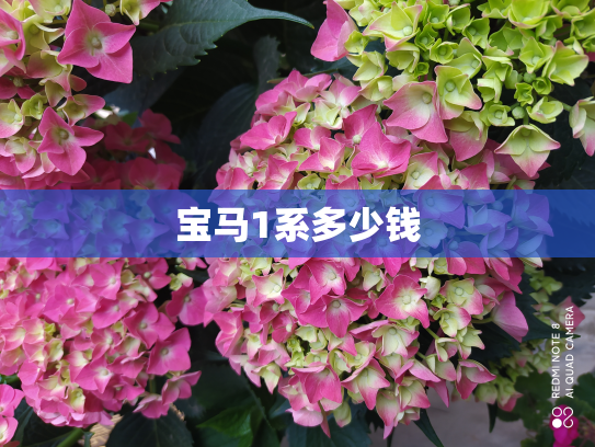 宝马1系多少钱