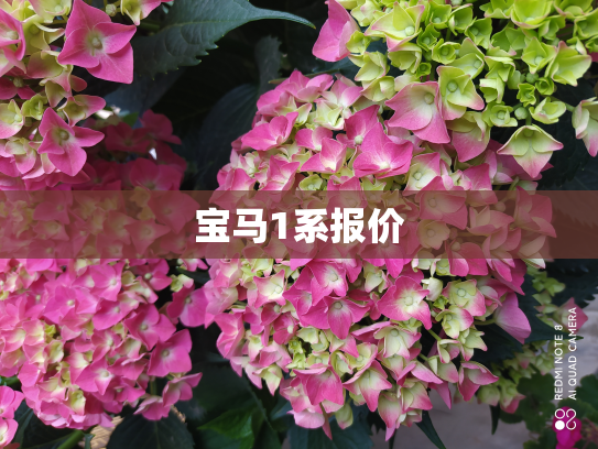 宝马1系报价