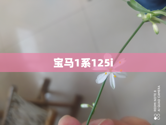 宝马1系125i