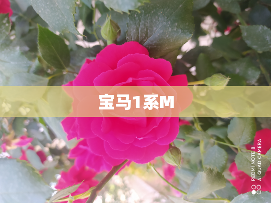 宝马1系M