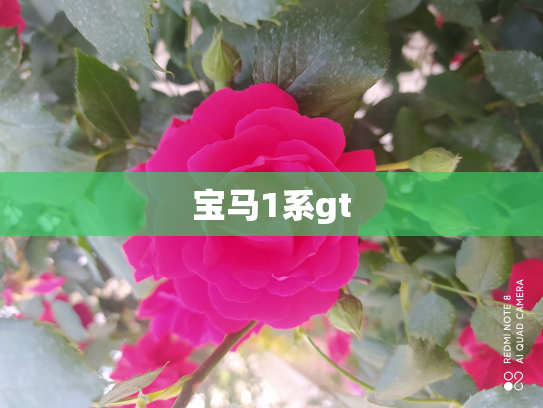 宝马1系gt