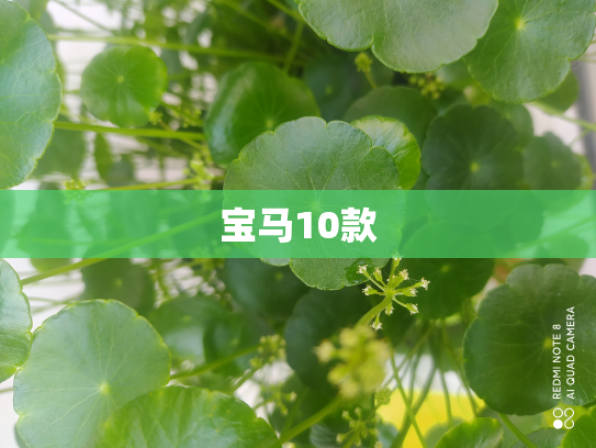 宝马10款