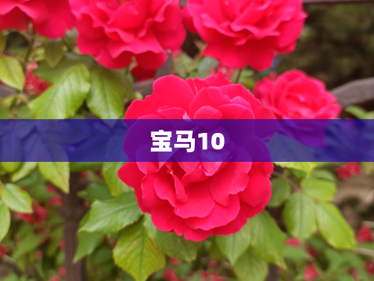 宝马10
