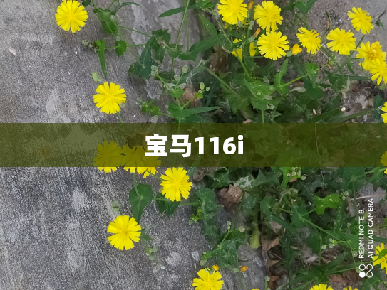 宝马116i